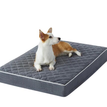 Cutepups Orthopedic  Mat