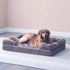 Cutepups Orthopedic Dog Bed Comfortable Dog Mattress for Sleeping, Washable pet Bed for Dogs (Grey)