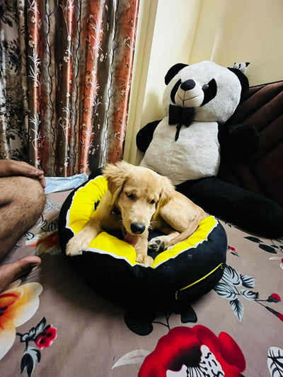 Review image