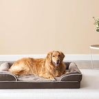 Cutepups Orthopedic Dog Bed Comfortable Dog Mattress for Sleeping, Washable pet Bed for Dogs (Dark Brown)