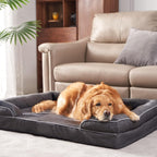Cutepups Orthopedic Dog Bed Comfortable Dog Mattress for Sleeping, Washable pet Bed for Dogs (Black)