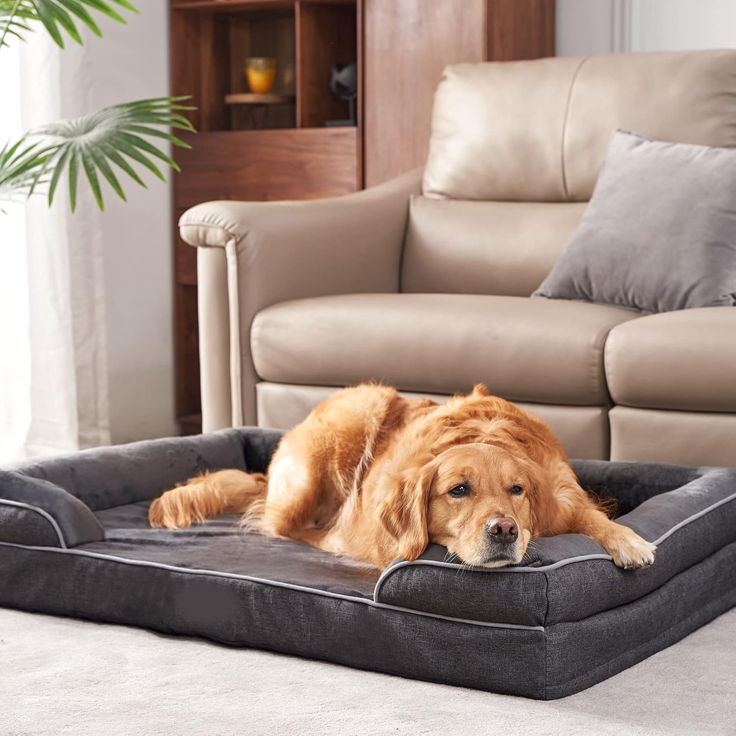 Cutepups Orthopedic Dog Bed Comfortable Dog Mattress for Sleeping, Washable pet Bed for Dogs (Black)