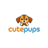 cropped-icon.png